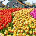 Enchanting-Travels-Zaanse-Schans-Netherlands-Europe